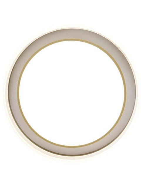 Потолочный светодиодный светильник Zortes Adel ZRS.1200.01