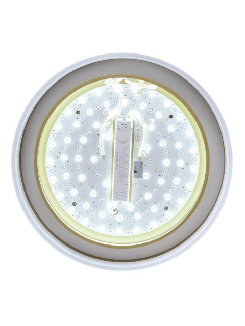 Потолочный светодиодный светильник Zortes Adel ZRS.1200.01