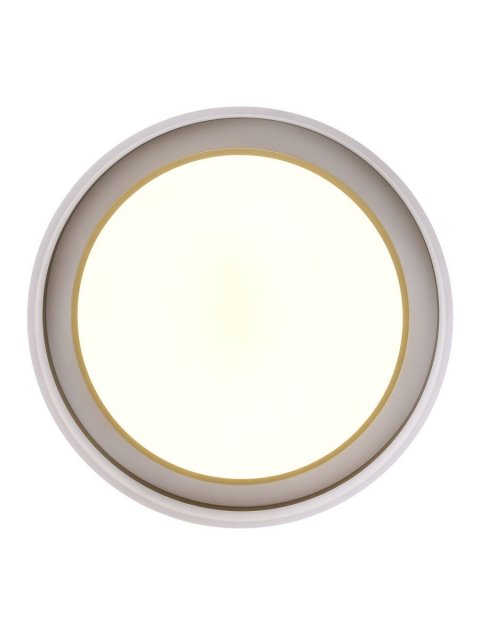 Потолочный светодиодный светильник Zortes Adel ZRS.1200.01