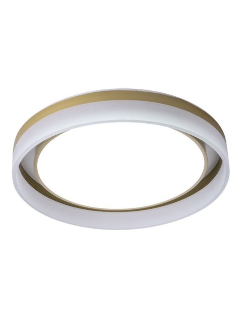 Потолочный светодиодный светильник Zortes Adel ZRS.1200.01