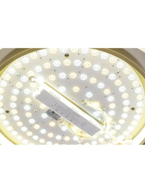 Потолочный светодиодный светильник Zortes Adel ZRS.1200.01