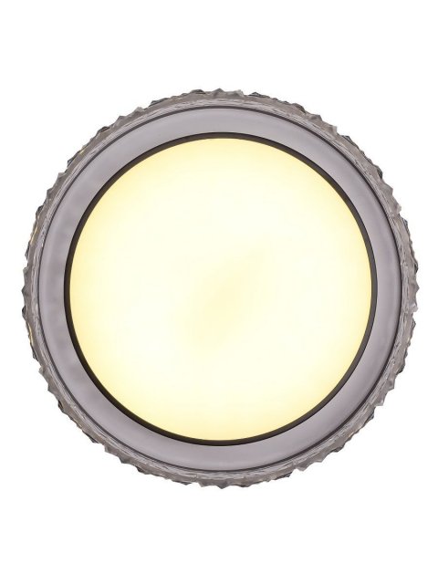 Потолочный светодиодный светильник Zortes Adel ZRS.1200.02