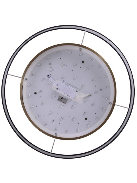 Потолочный светодиодный светильник Zortes Bella ZRS.27510.05