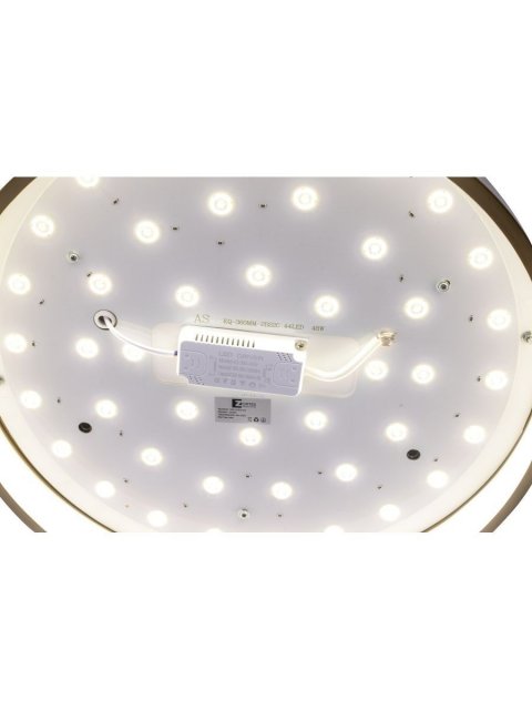 Потолочный светодиодный светильник Zortes Bella ZRS.27510.05