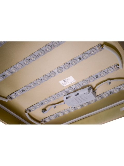 Потолочный светодиодный светильник Zortes Gabby ZRS.1215.03