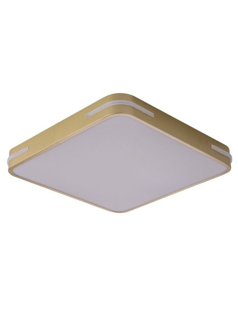 Потолочный светодиодный светильник Zortes Gabby ZRS.1215.03