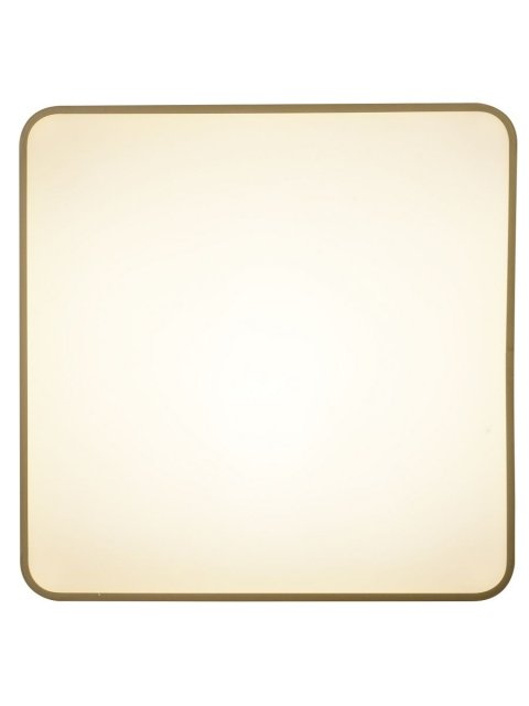 Потолочный светодиодный светильник Zortes Gabby ZRS.1215.04