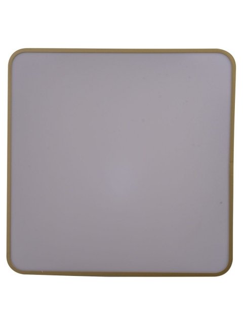 Потолочный светодиодный светильник Zortes Gabby ZRS.1215.04