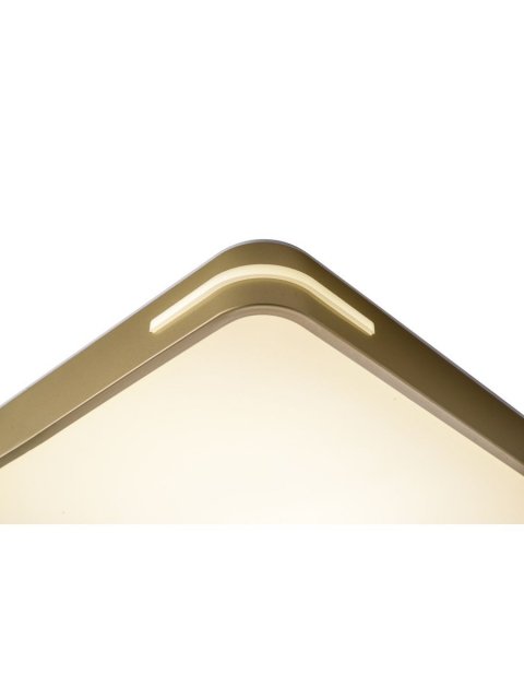 Потолочный светодиодный светильник Zortes Gabby ZRS.1215.04