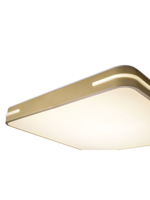 Потолочный светодиодный светильник Zortes Gabby ZRS.1215.04