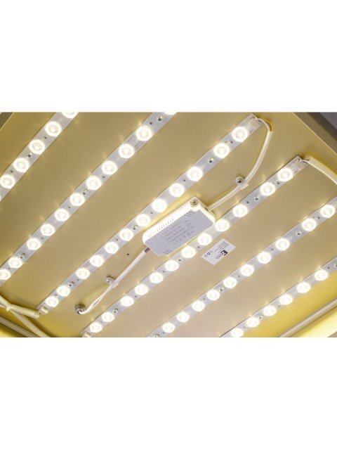 Потолочный светодиодный светильник Zortes Gabby ZRS.1215.04