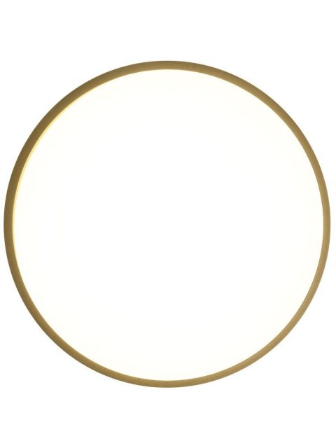 Потолочный светодиодный светильник Zortes Gabby ZRS.90610.30