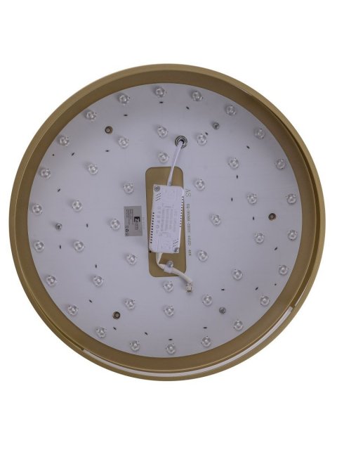 Потолочный светодиодный светильник Zortes Gabby ZRS.90610.40