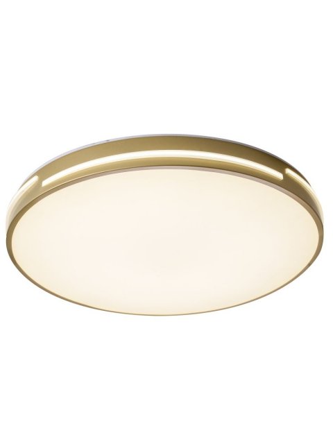 Потолочный светодиодный светильник Zortes Gabby ZRS.90610.50