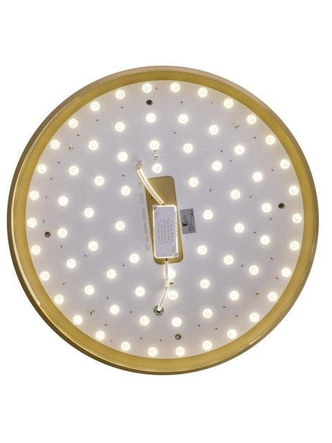 Потолочный светодиодный светильник Zortes Gabby ZRS.90610.50