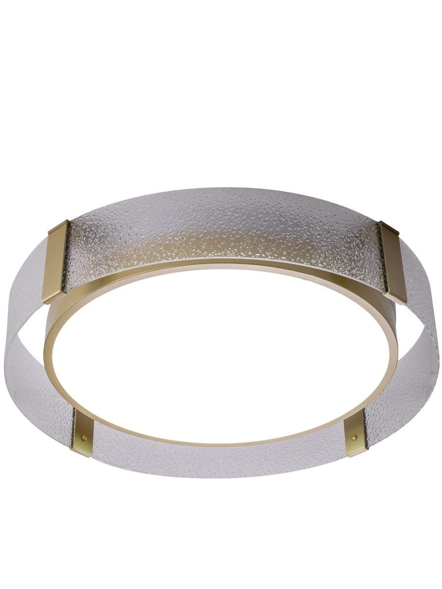 Потолочный светодиодный светильник Zortes Gerda ZRS.1097.50