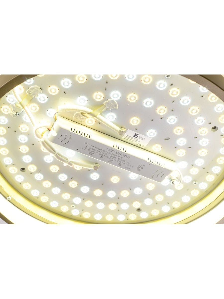 Потолочный светодиодный светильник Zortes Gerda ZRS.1097.50