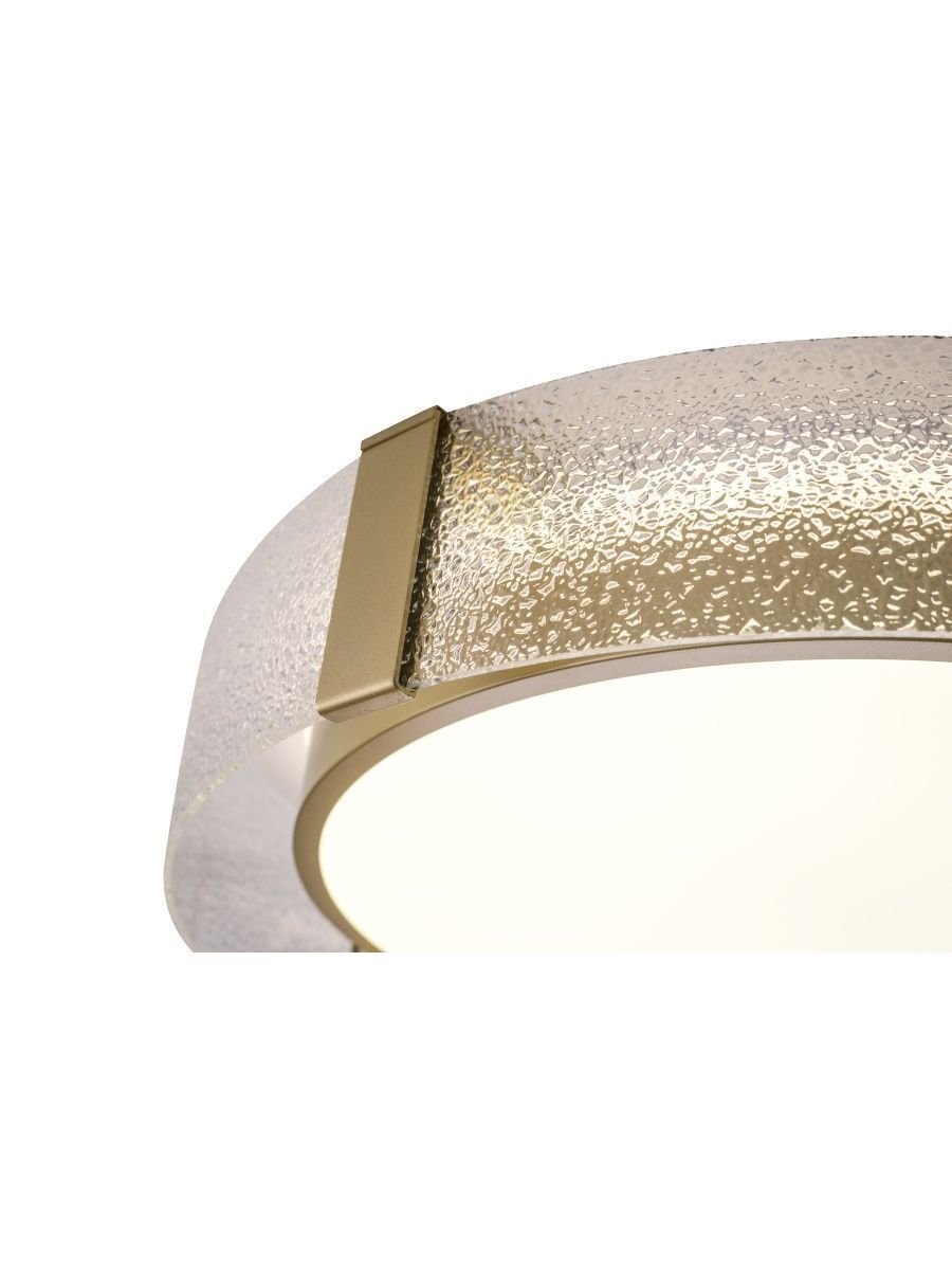 Потолочный светодиодный светильник Zortes Gerda ZRS.1097.50