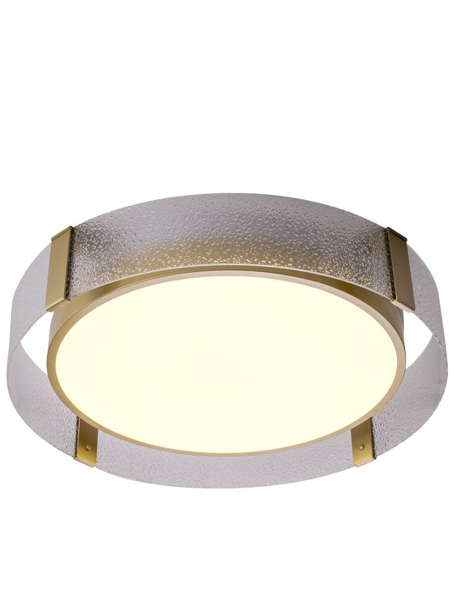 Потолочный светодиодный светильник Zortes Gerda ZRS.1097.50