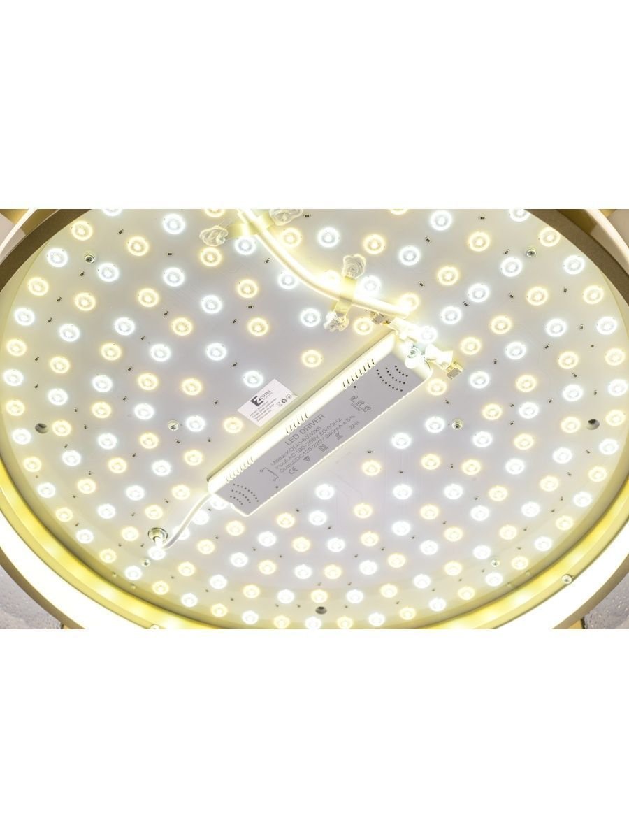 Потолочный светодиодный светильник Zortes Gerda ZRS.1097.60