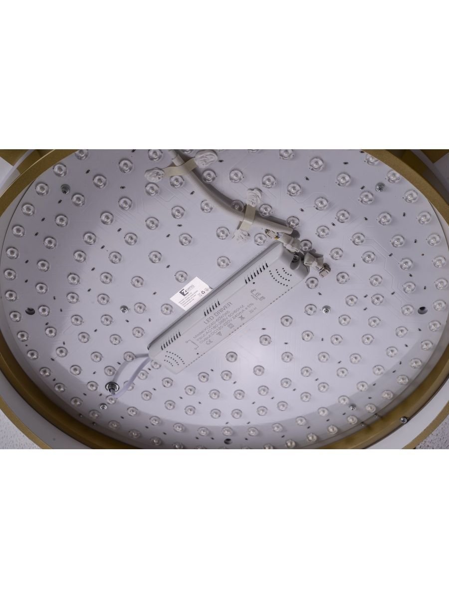 Потолочный светодиодный светильник Zortes Gerda ZRS.1097.60