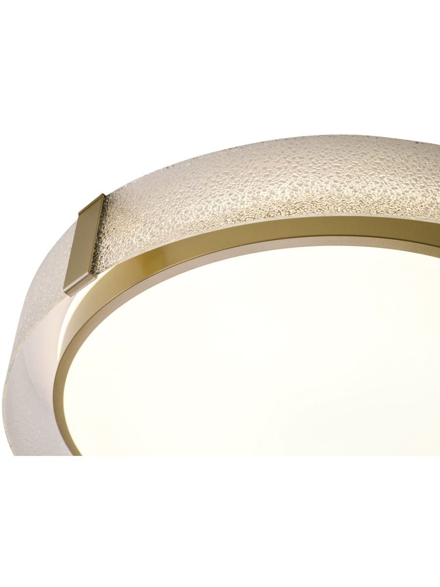 Потолочный светодиодный светильник Zortes Gerda ZRS.1097.60