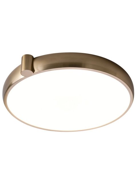 Потолочный светодиодный светильник Zortes Gimpel ZRS.1209.17