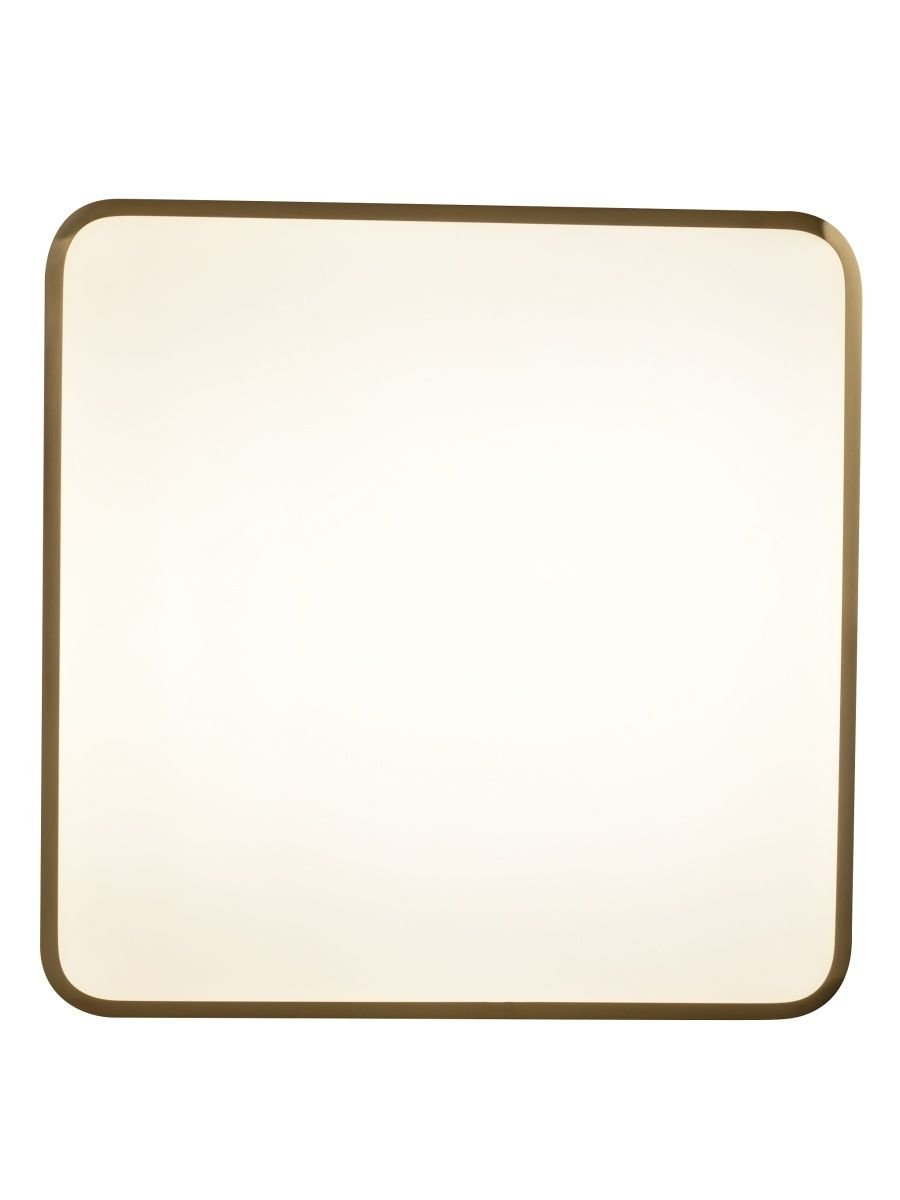 Потолочный светодиодный светильник Zortes Monna ZRS.1209.03