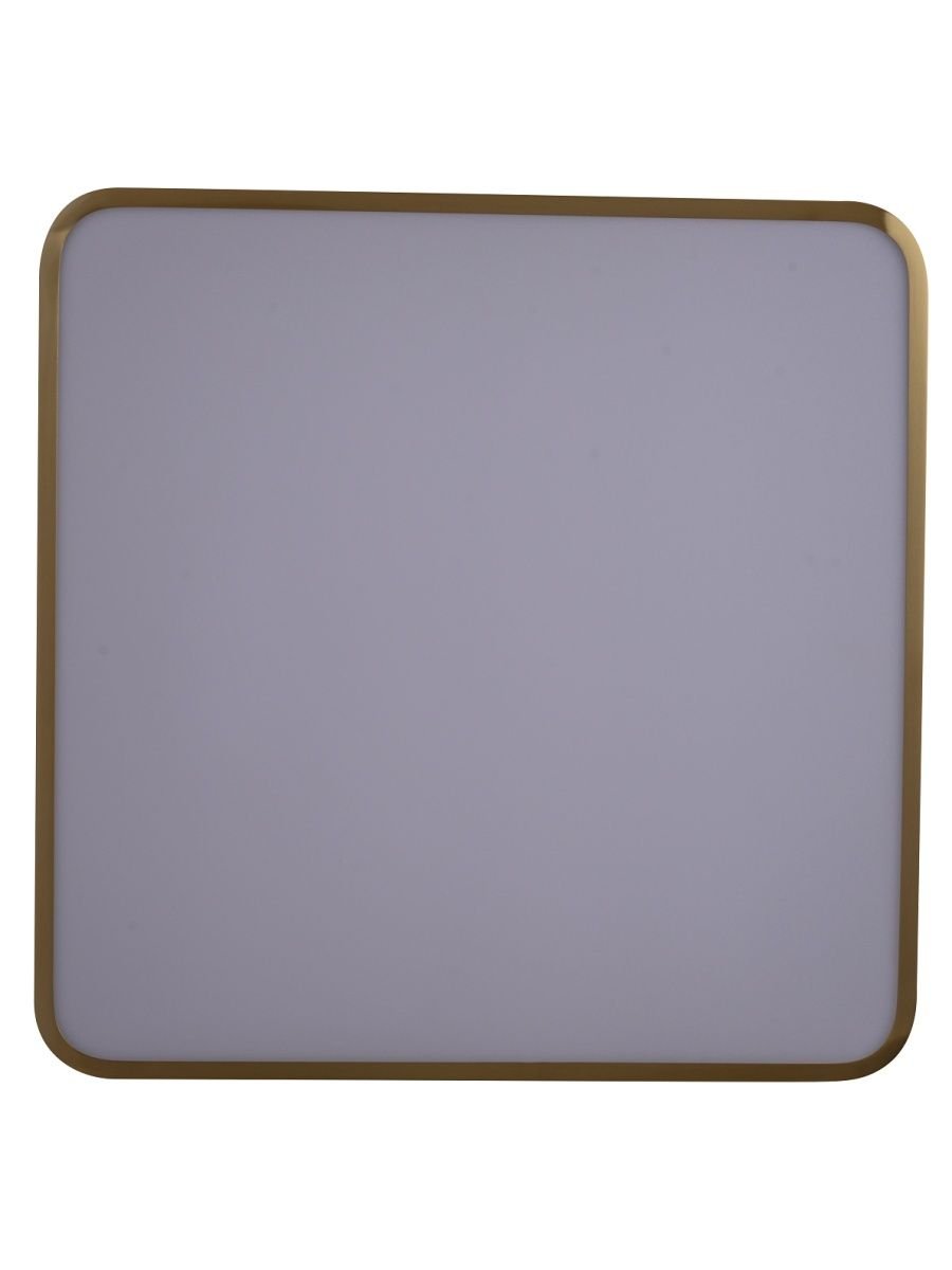 Потолочный светодиодный светильник Zortes Monna ZRS.1209.03