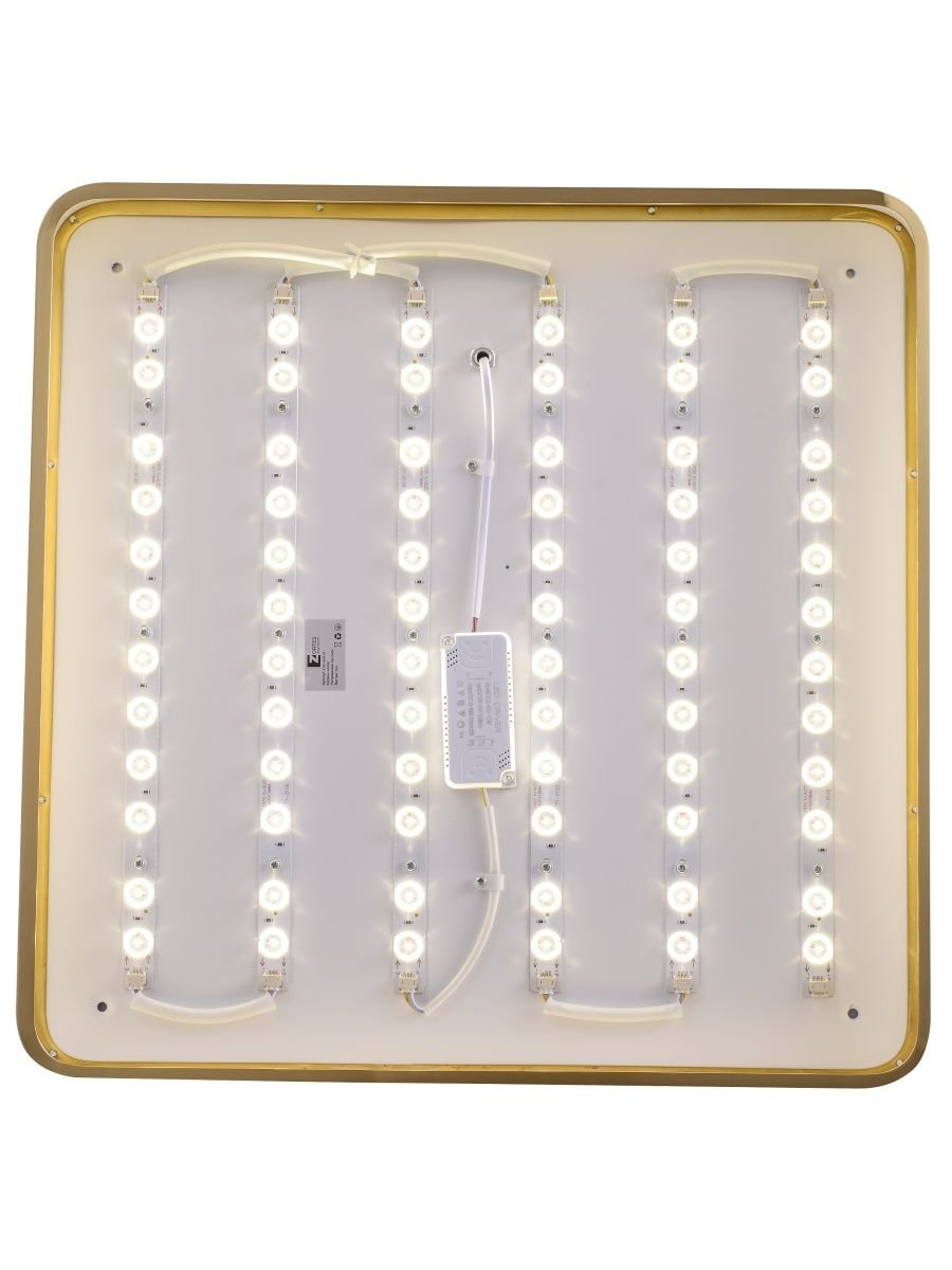 Потолочный светодиодный светильник Zortes Monna ZRS.1209.05