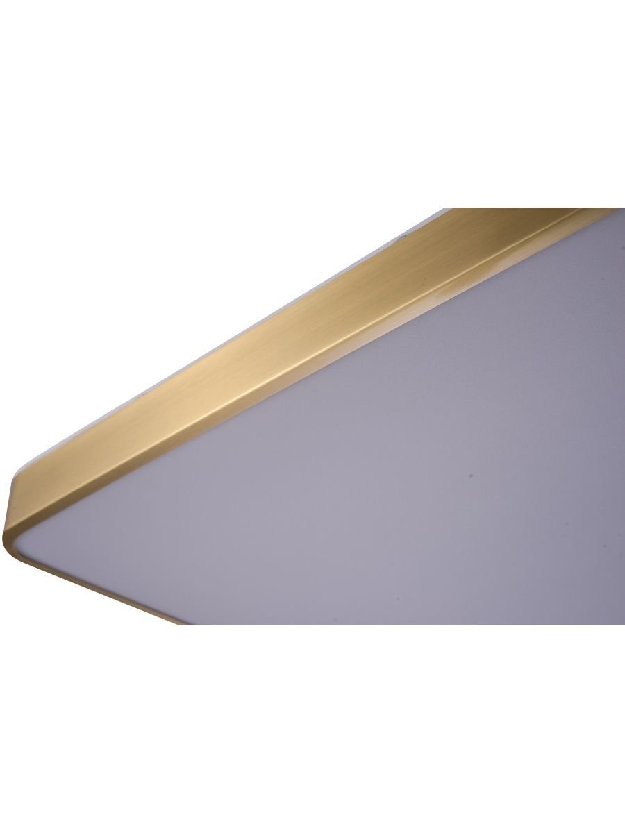 Потолочный светодиодный светильник Zortes Monna ZRS.1209.05