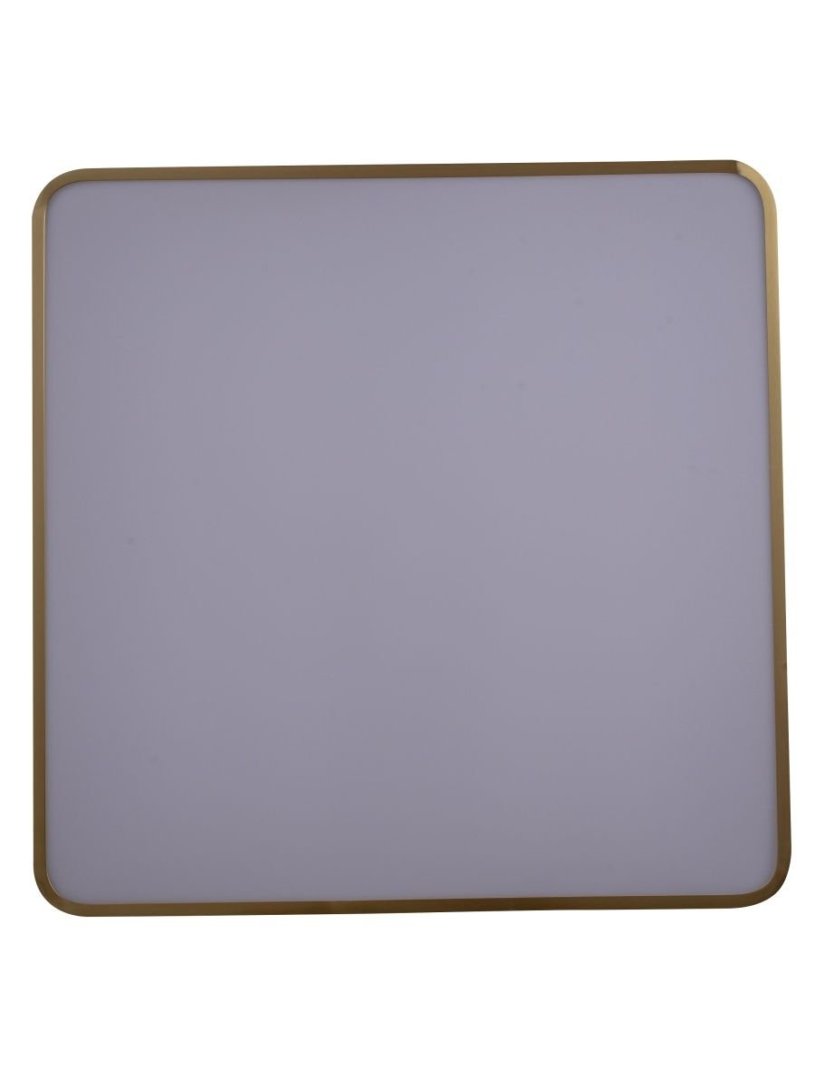 Потолочный светодиодный светильник Zortes Monna ZRS.1209.05