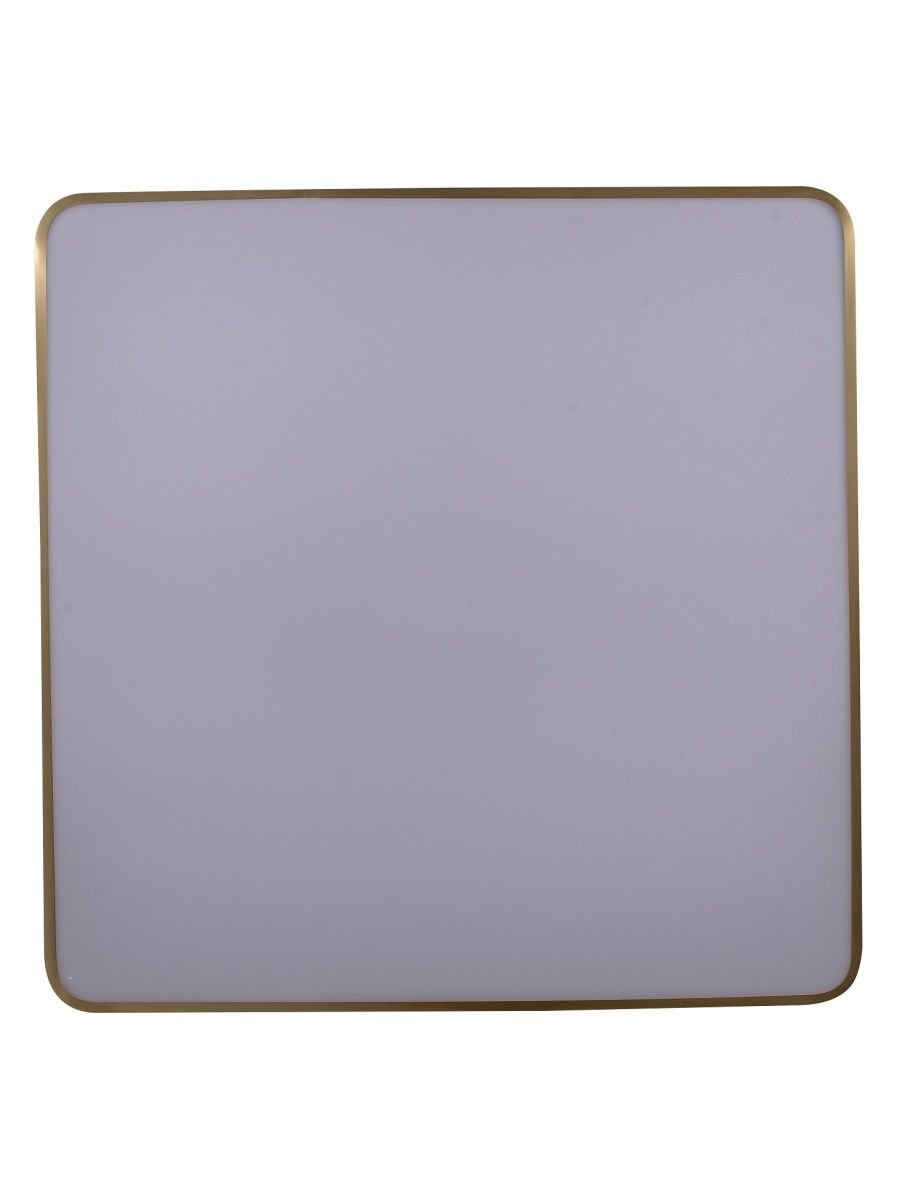 Потолочный светодиодный светильник Zortes Monna ZRS.1209.07