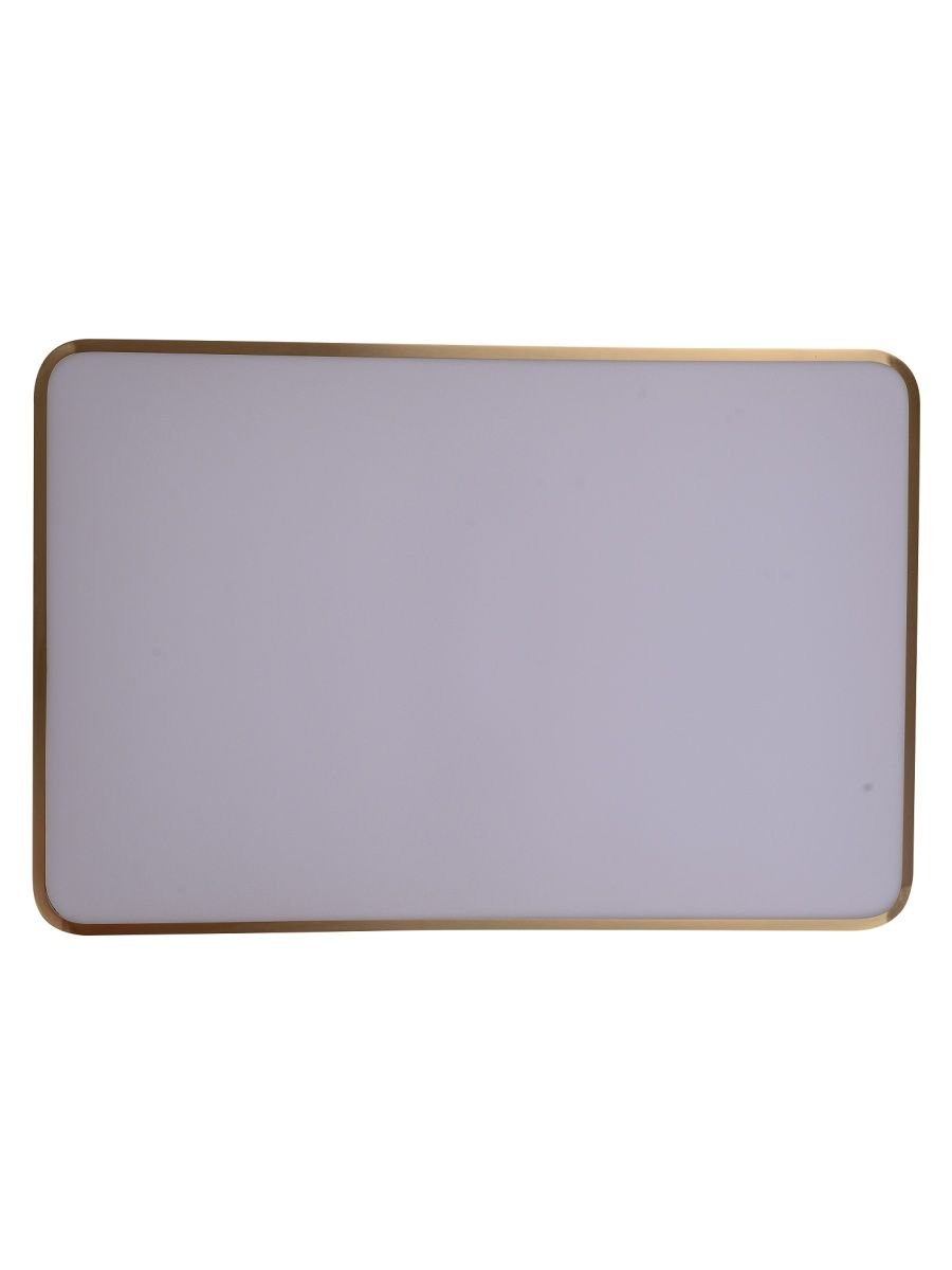 Потолочный светодиодный светильник Zortes Monna ZRS.1209.09