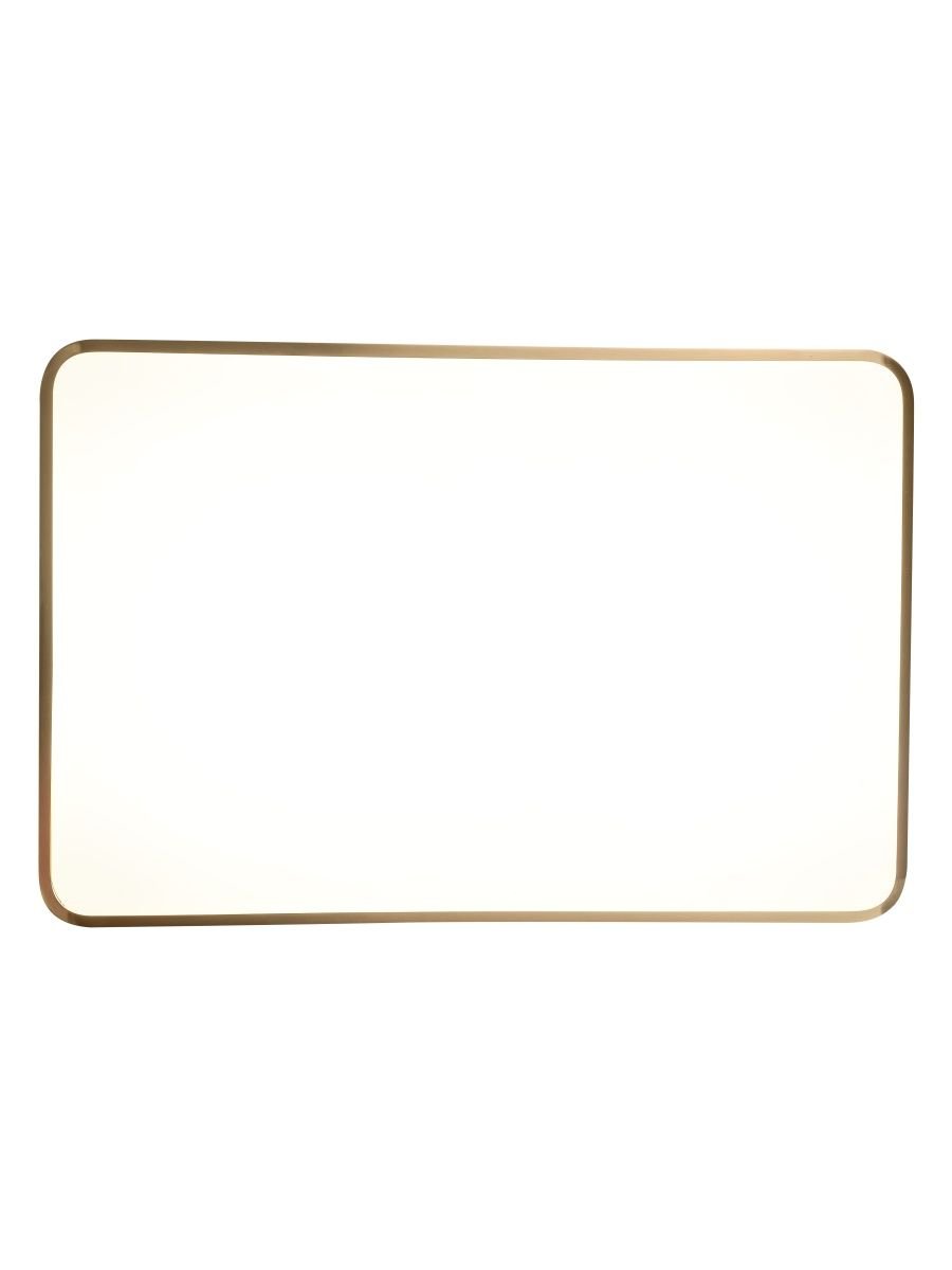 Потолочный светодиодный светильник Zortes Monna ZRS.1209.09