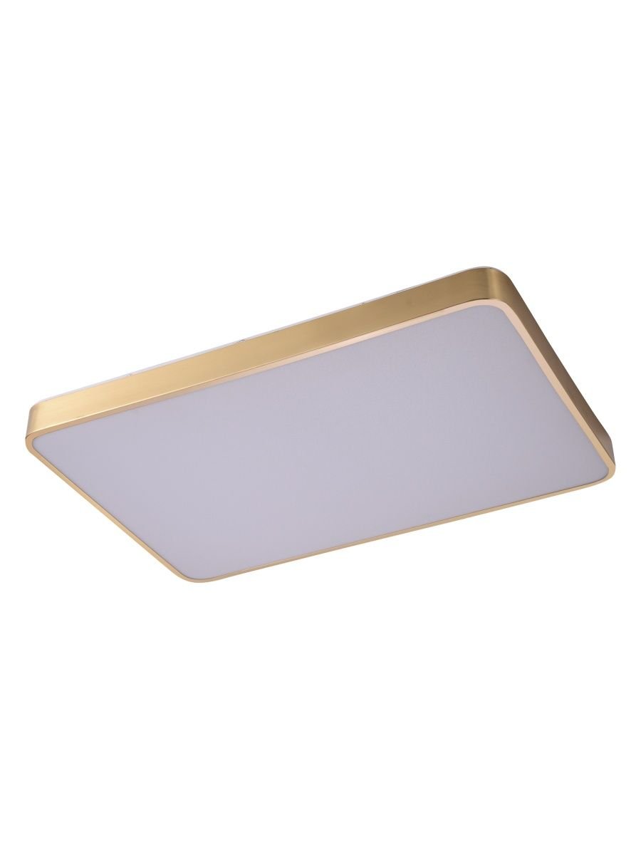 Потолочный светодиодный светильник Zortes Monna ZRS.1209.09