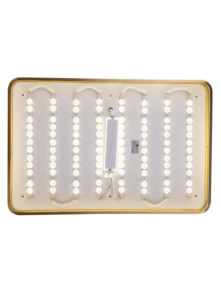 Потолочный светодиодный светильник Zortes Monna ZRS.1209.09