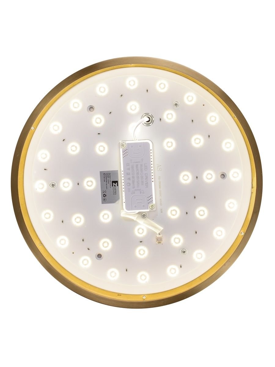 Потолочный светодиодный светильник Zortes Monna ZRS.1209.10