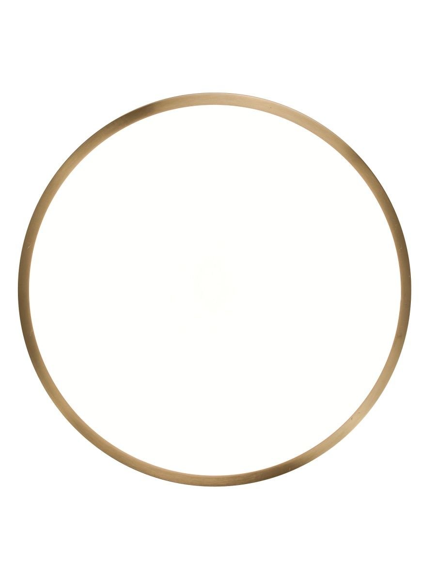 Потолочный светодиодный светильник Zortes Monna ZRS.1209.10