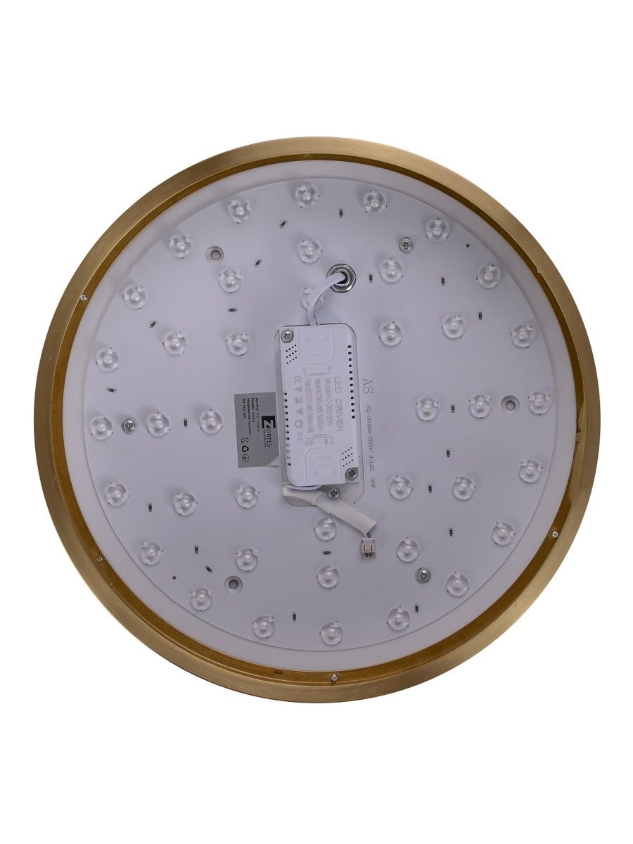 Потолочный светодиодный светильник Zortes Monna ZRS.1209.10