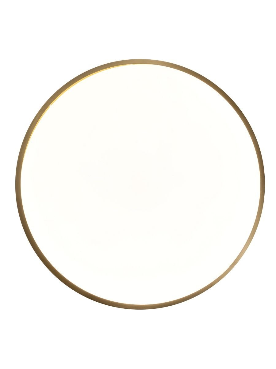 Потолочный светодиодный светильник Zortes Monna ZRS.1209.11