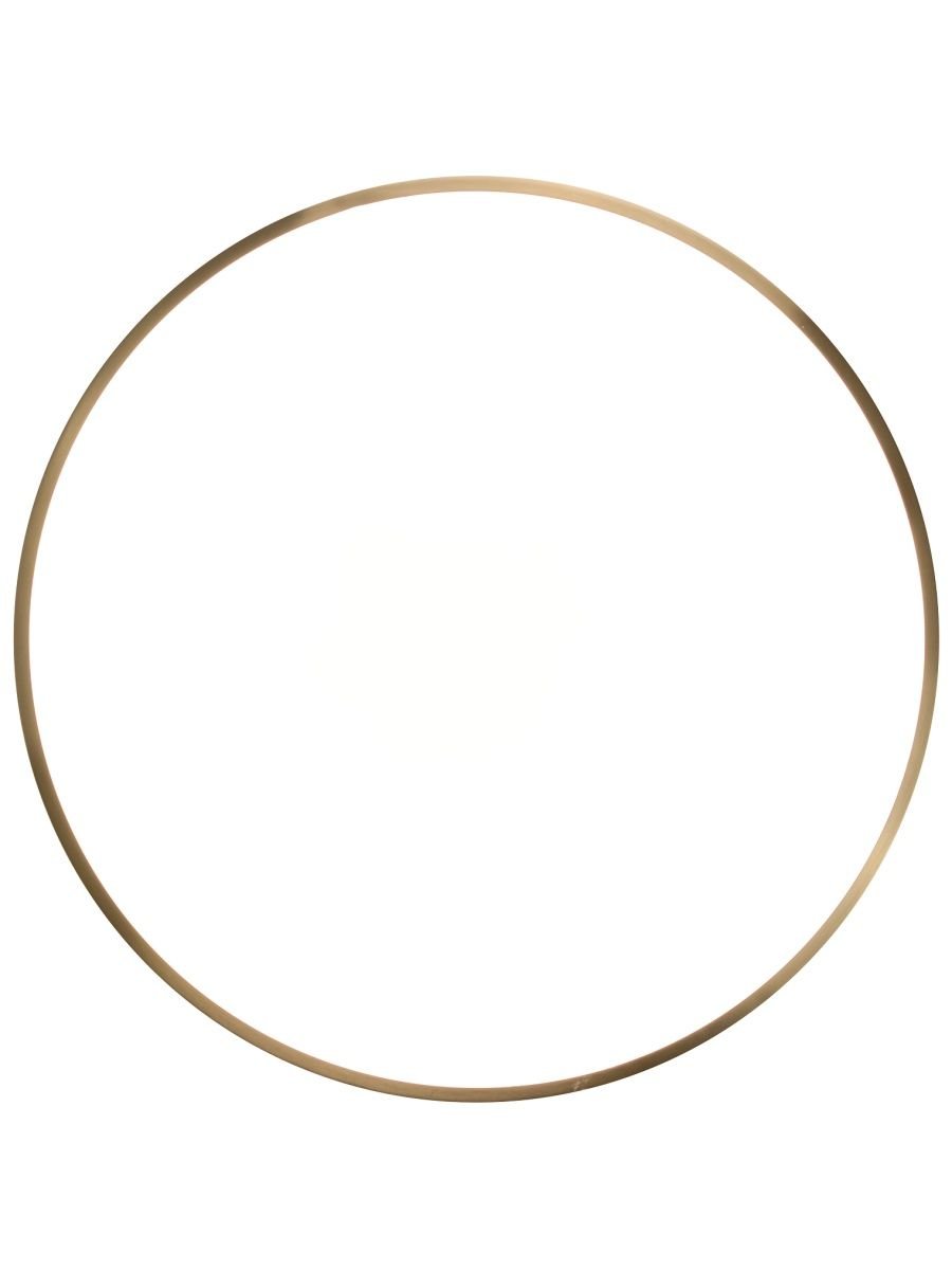 Потолочный светодиодный светильник Zortes Monna ZRS.1209.12