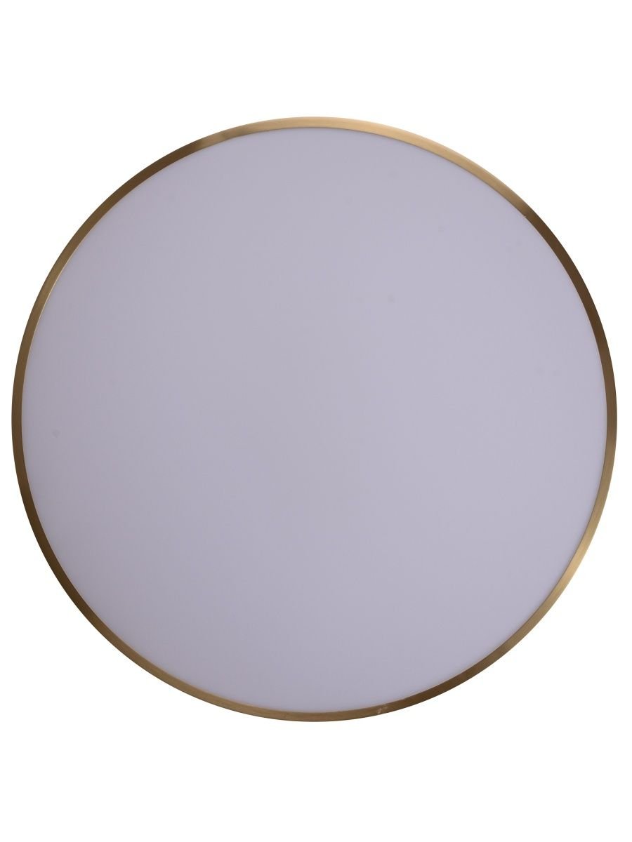 Потолочный светодиодный светильник Zortes Monna ZRS.1209.12