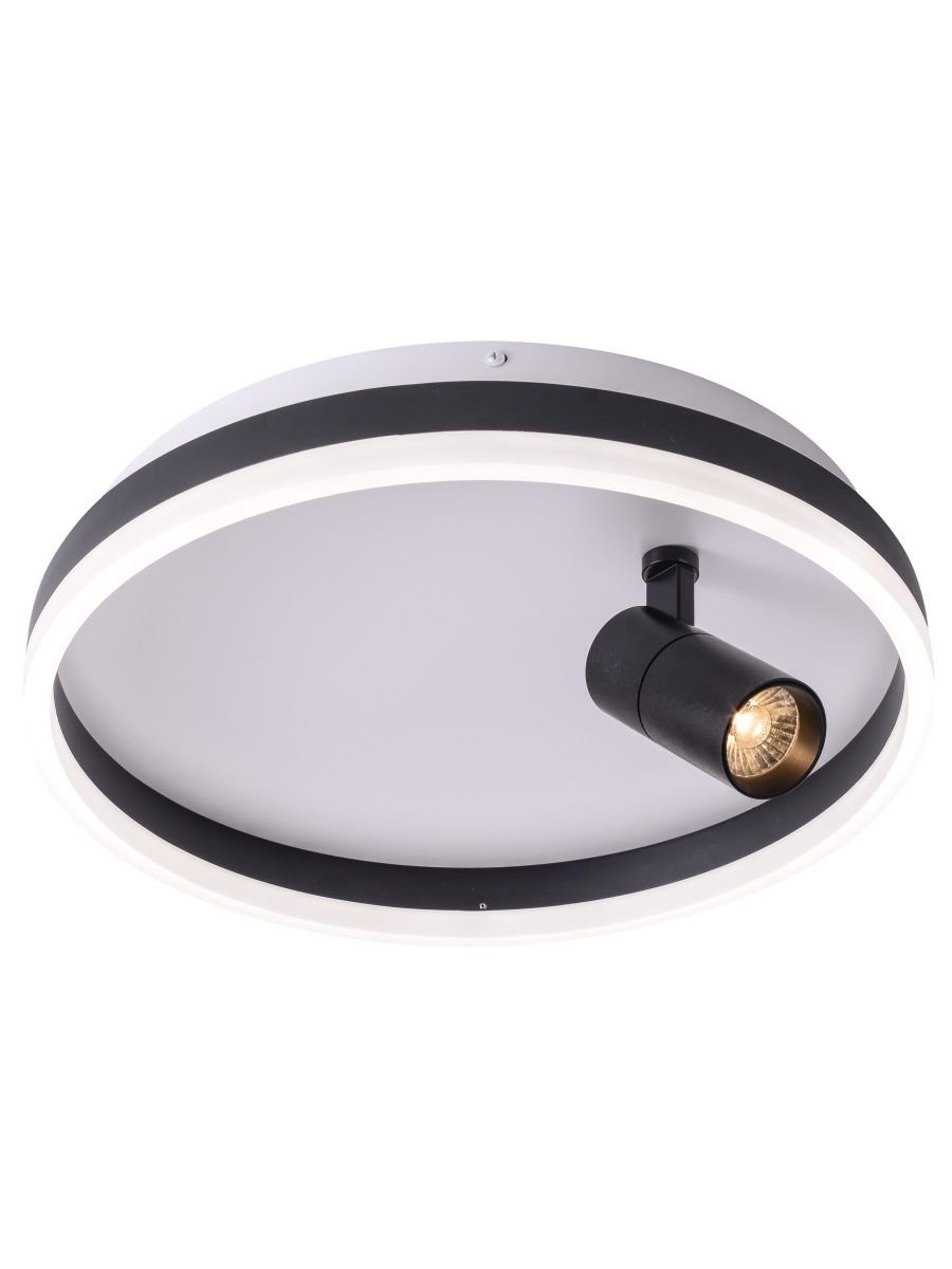 Потолочный светодиодный светильник Zortes Raizy ZRS.1888.03