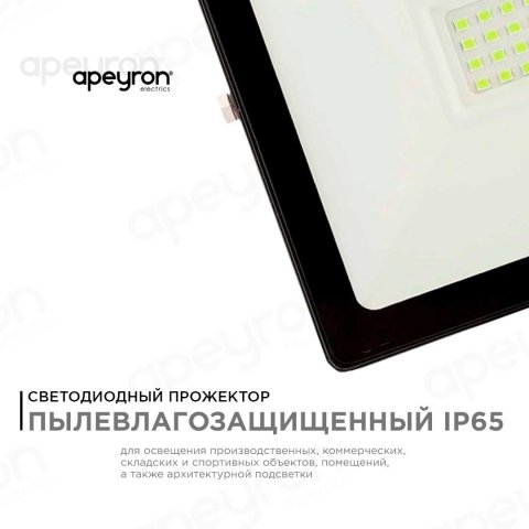 Прожектор светодиодный Apeyron 30W 6500K 05-39