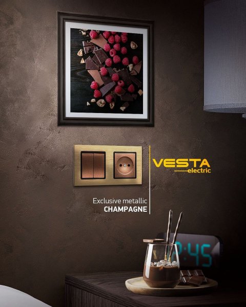 Рамка 2-постовая Vesta-Electric Exclusive Silver Champagne шампань FRM050201BSH