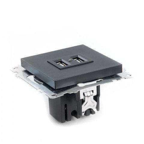 Розетка 2хUSB Stekker Катрин черный GLS10-7115-05 39616