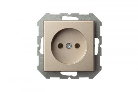 Розетка 2P Liregus Epsilon шампань 28-309