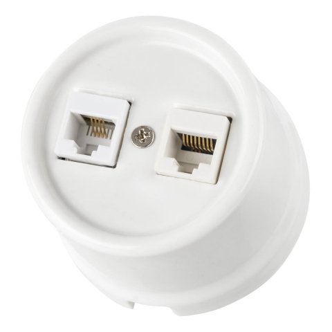 Розетка компьютерная RJ45/телефонная RJ11 TDM Electric "Болонь" белая SQ1820-0052