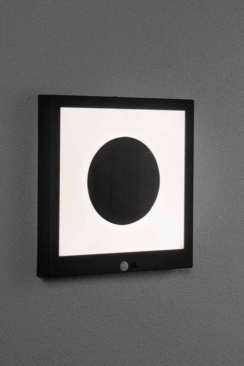 Светильник на солнечных батареях Paulmann Taija 94263